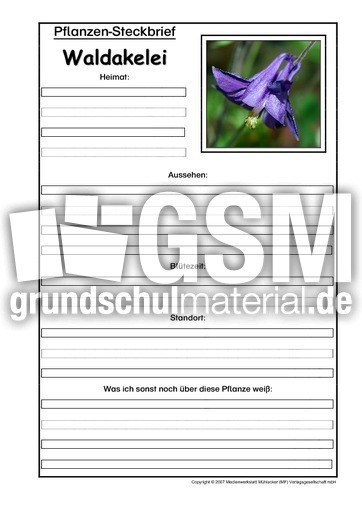 Pflanzensteckbrief-Waldakelei.pdf